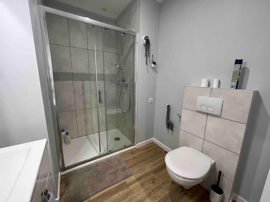 Appartement Climatise / Centre-Ville / 4 Personnes Besançon Eksteriør billede